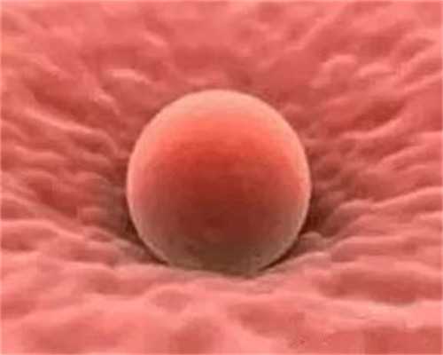 找苏州代妈qq群，苏州三代试管男女准确率苏州试管婴儿医院排名最好