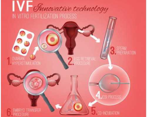 深圳单身生子怎么上户,单身生子怎么上户口