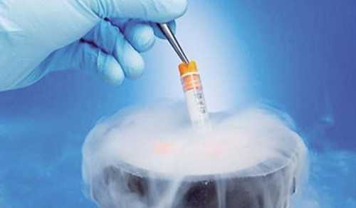 打了尿促卵泡不长怎么办