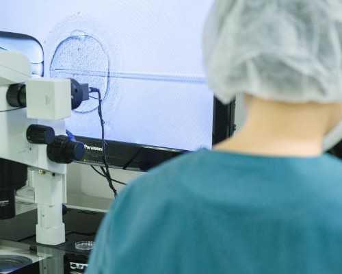 在武汉同济医院做试管可以选性别吗？