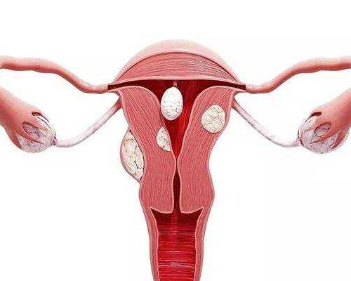 无锡女职工产假工资规定