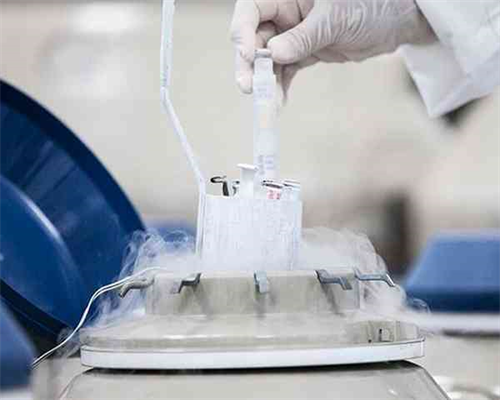 无锡代怀中介中心，2026无锡有甲减做试管婴儿的几率多大？无锡不孕不育指南