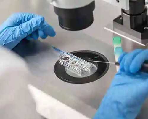 女性抠喉减肥会有不良后果吗