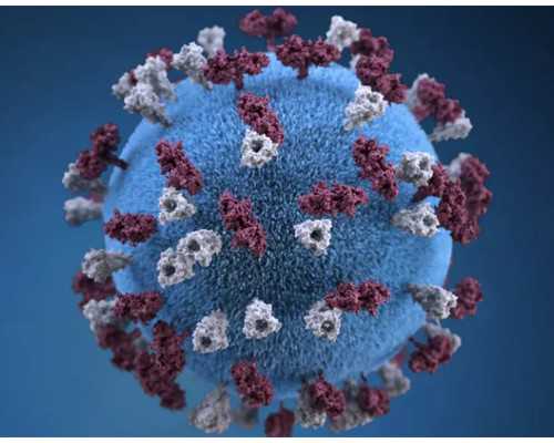 南宁供卵孩子的健康,【供卵的孩子健康吗】8月备孕成功，给姐妹们分享好孕经