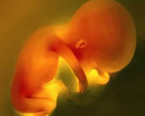 无锡代怀孕哪里找，无锡101生殖中心试管多少钱？无锡101和904医院？