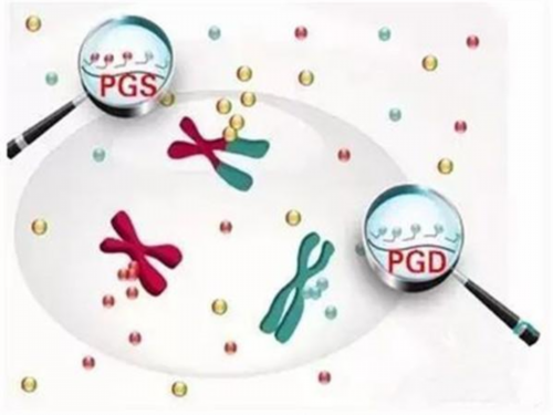 上海供卵生男孩包成功费用清单，钱花在那儿一清一楚