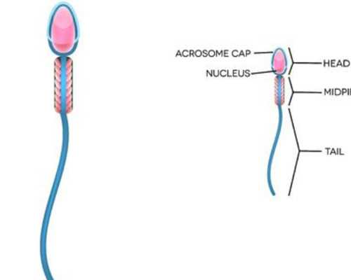 盐城借卵哪里好，盐城三代试管选性别准确率盐城妇幼能做三代试管婴儿