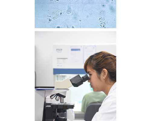 无锡试管包生男孩价格_无锡试管生宝宝