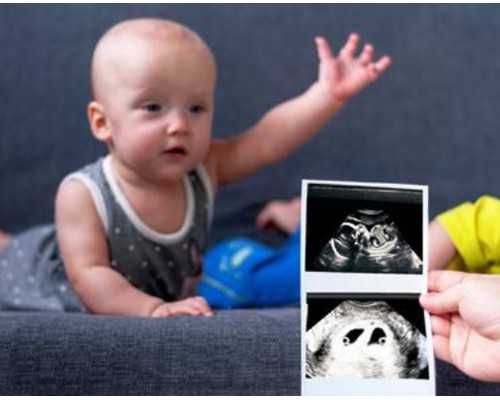 杭州代孕包生仔,试管代孕合法的有那些国家？附详细介绍？