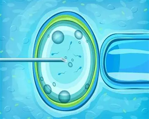 国内可以洗精做试管吗,泰国试管婴儿洗精技术艾滋病患者的福音