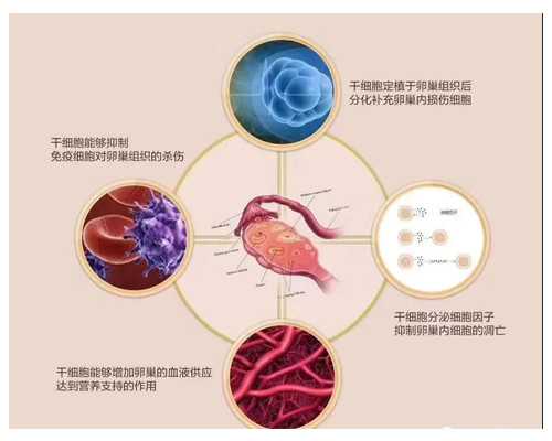 为什么会孕酮低？都是由这些造成的