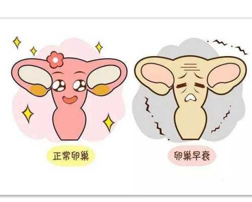 在这里，“看病不用去北京，北京名医来看你”