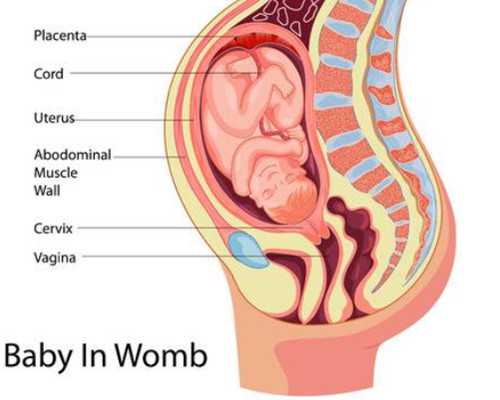 江苏代怀生儿子多少钱？江苏试管婴儿一次多少钱？