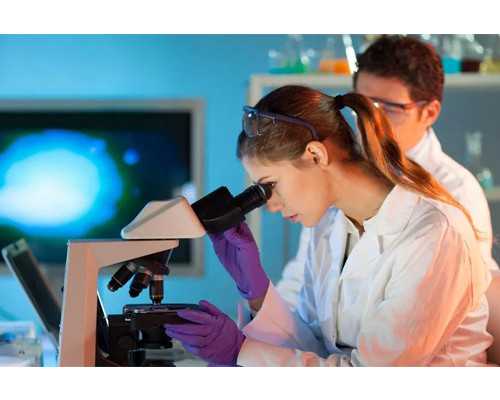 贵阳哪里供卵试管又快又好