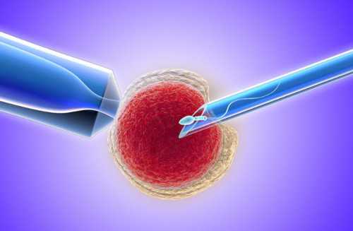 2026辽宁私立试管医院排名最新，附辽宁前十强公立试管医院