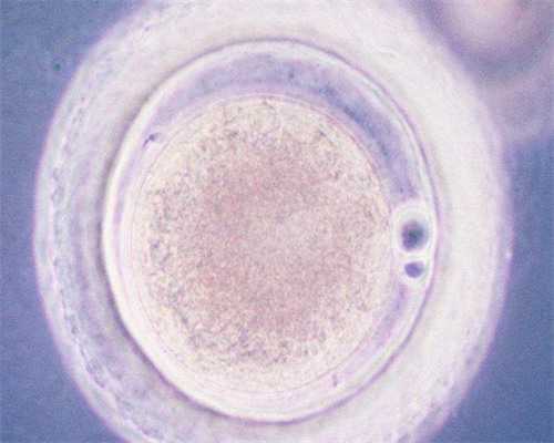 无锡选择性别，无锡哪家医院做试管好？无锡妇幼试管婴儿成功率高吗？