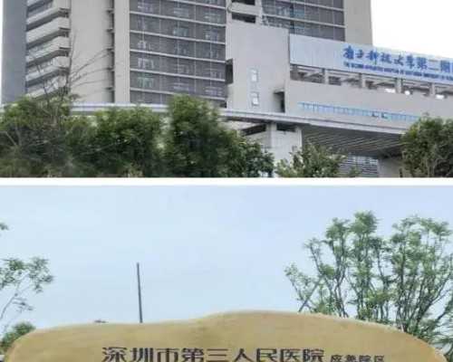 北京供卵试管公司安全吗，无卵泡可以供卵吗