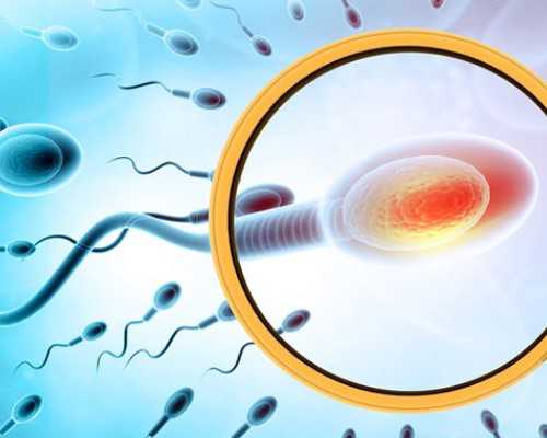 广州代生最靠谱机构，广州试管助孕全部费用