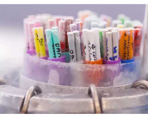 供卵湖北代孕医院,武汉十大试管代孕妈妈有哪些？武汉哪家强？