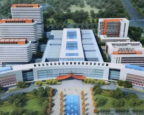 2026厦门卵巢早衰供卵包成功不排队医院，附医院供卵现状解读