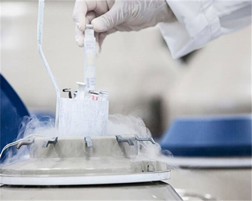 2026郑州大学第三附属医院供卵试管生男孩费用、流程一览