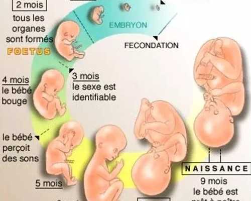 供卵代怀选男女，无锡试管婴儿医院排名？