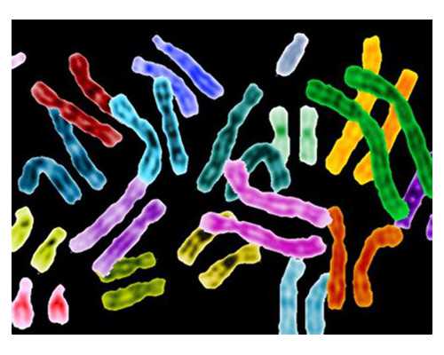 无锡可以做供卵的医院，无锡华人供卵机构（﻿无锡供卵机构）