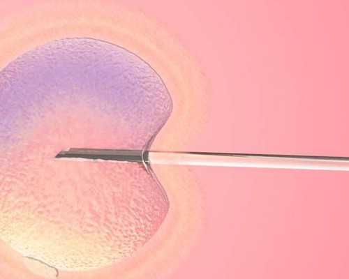 天津供卵三代试管多少费用,天津中心妇产试管婴儿费用