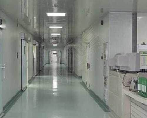 广西怎么借卵生子