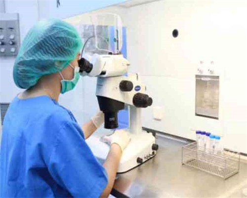 国外借卵生子费用_代孕去哪找,试管婴儿囊胚胎移植后