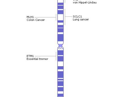 供卵试管哪个医院可以做，深圳能做供卵吗