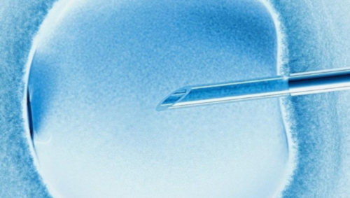 无锡有便宜代怀，无锡试管婴儿一般用什么方案