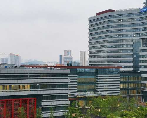 无锡代怀妈妈群,同性生子不是梦 美国试管婴儿完美助力【gay专版】