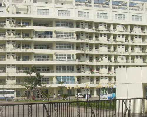 苏州美女代生孩子，苏州幼教眼中香港学前教育