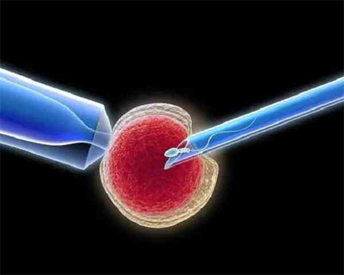 长沙供卵选性别,【供卵试管选性别】终于好孕，分享我怀孕经历的二三事，附