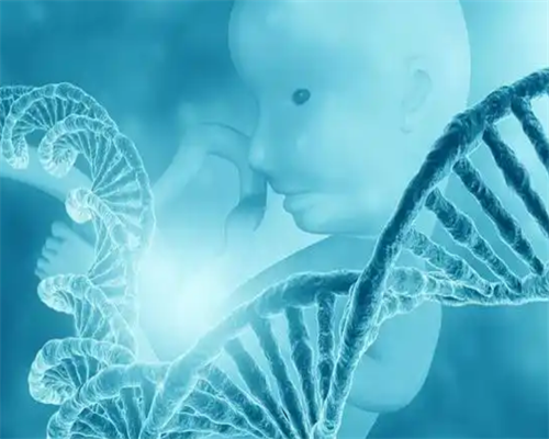 无锡咨询代怀，无锡助孕