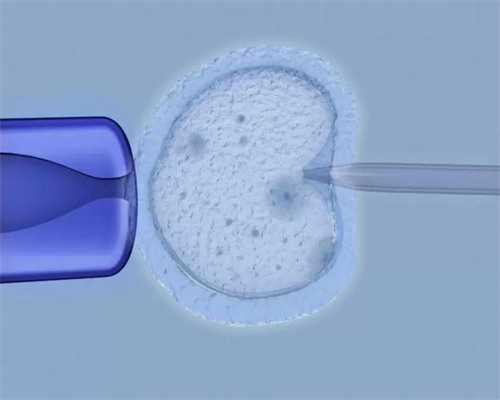 2026合法大连代孕,2026年大年初一出生的宝宝怎样