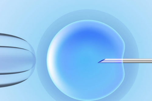 深圳可以做试管婴儿的医院介绍