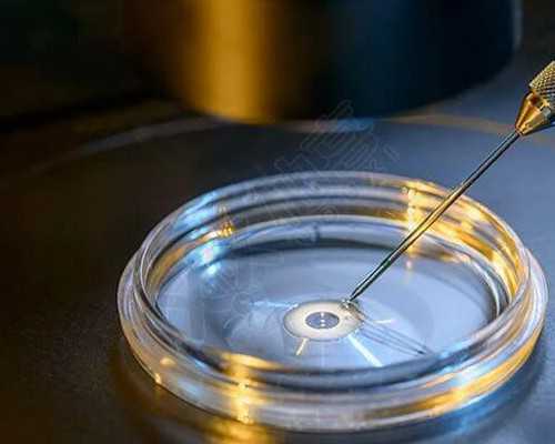 开始备孕，生男生女要备足“功课”，别给自己太大压力