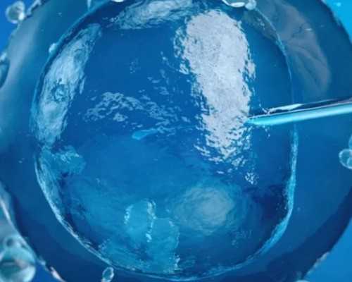 南方医科医院供卵,昆明公立生殖医院供卵试管费用大约多少？附供卵试管收费