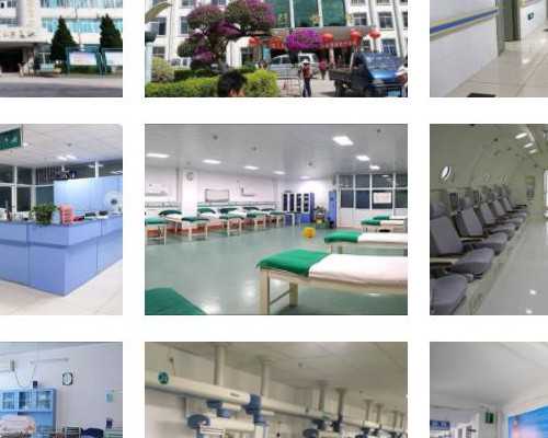 无锡供应出售金蝉卵枝,亳州供应出售金蝉卵枝技