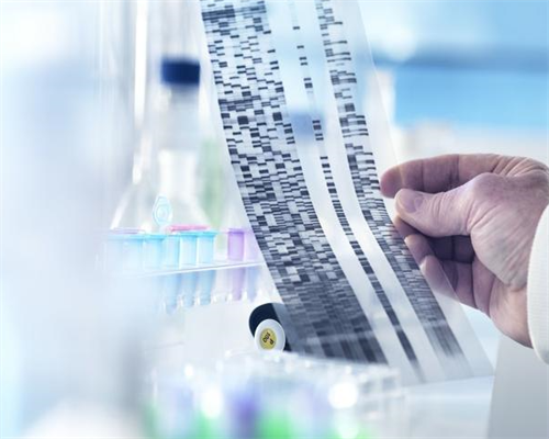 苏州供卵的费用，苏州做试管婴儿能用社保报销费用吗？