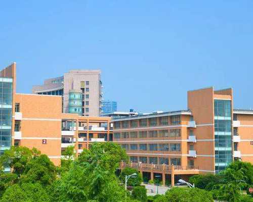 2026年浙江产假多少天