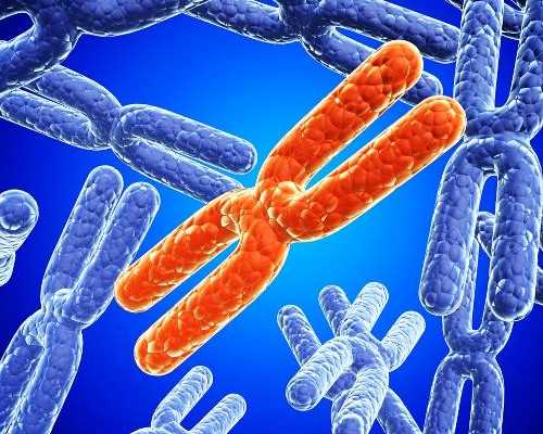 无锡正规代怀孕中介,无锡供卵代怀男孩价位是多少