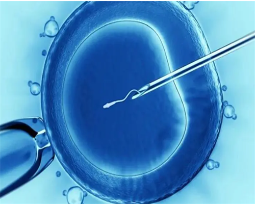 2026火速更新天津正规民营供卵机构排名，附8家医院名单