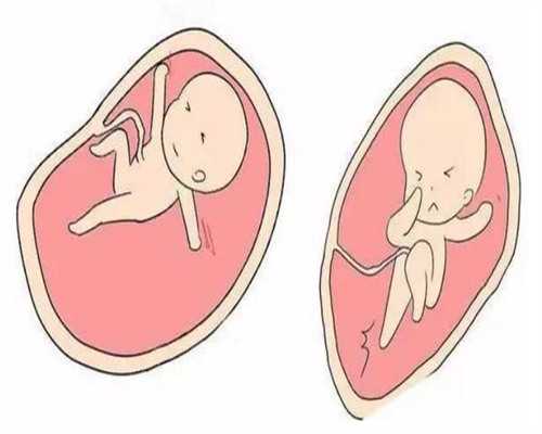 浙江供卵试管网是吗，2026年浙江二胎最新奖励政策？浙江生二胎奖励多少钱？