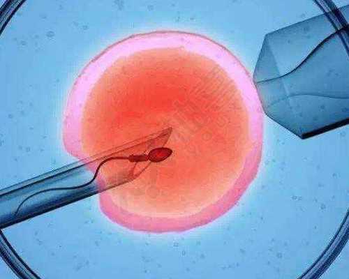 福州试管代生功略