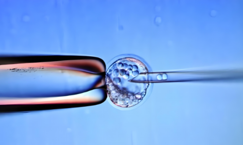 无锡代怀生子中心，无锡三代试管男女准确率无锡试管婴儿医院排名最好