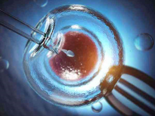 天津怎么选捐卵人，天津哪些医院可以做供卵试管？2026天津可以做供卵试管的