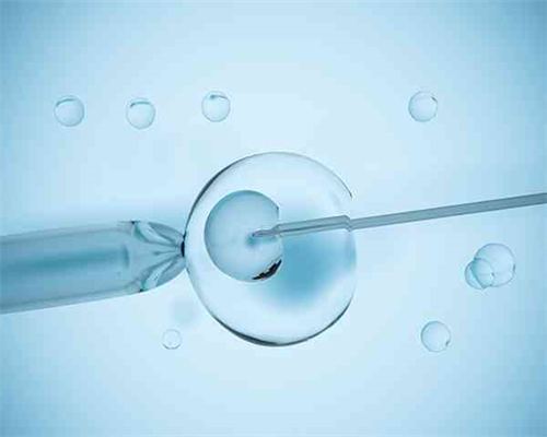 输卵管能做试管婴儿吗